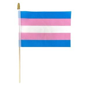TRANSGENDER Gay Pride Mini Stick Flag LGBT LGBTQ+ Small Hand Held Party Parade